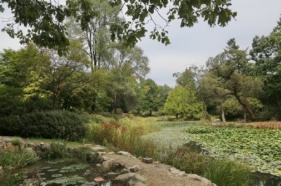 국립수목원 연못 05