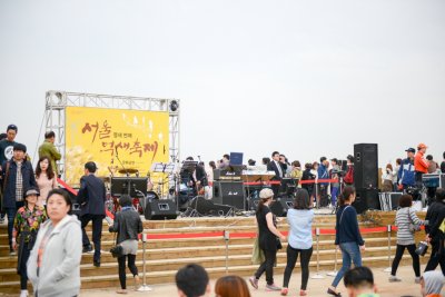 서울억새축제 2014 17