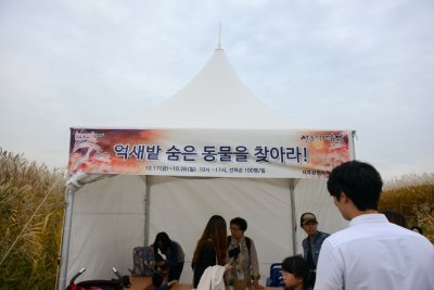 서울억새축제 2014 03