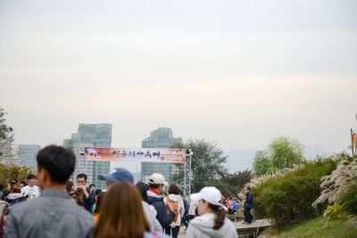 서울억새축제 2014 07
