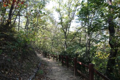 서산 아라메길 1-1구간 용현자연휴양림 산책로 구간 11