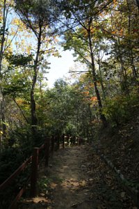 서산 아라메길 1-1구간 용현자연휴양림 산책로 구간 13