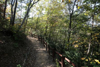 서산 아라메길 1-1구간 용현자연휴양림 산책로 구간 14