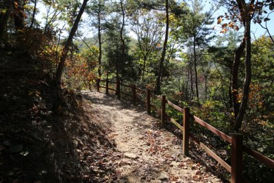서산 아라메길 1-1구간 용현자연휴양림 산책로 구간 16