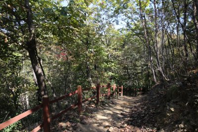 서산 아라메길 1-1구간 용현자연휴양림 산책로 구간 17