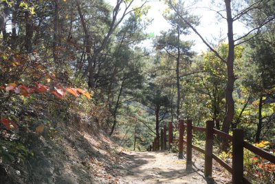 서산 아라메길 1-1구간 용현자연휴양림 산책로 구간 18