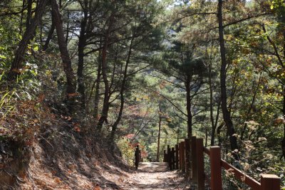 서산 아라메길 1-1구간 용현자연휴양림 산책로 구간 19