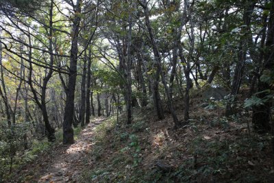 서산 아라메길 옥양봉 등산로-소나무 숲 쉼터 구간 19