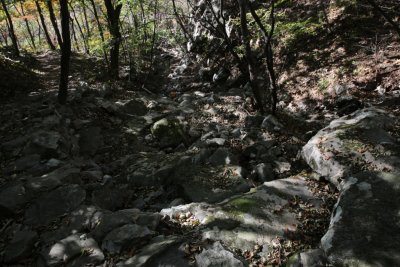 서산 아라메길 1코스 옥양봉계곡-수리바위 구간 04