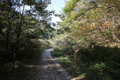 서산 아라메길 1코스 옥양봉계곡-수리바위 구간 13