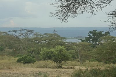 케냐 나이바샤 19