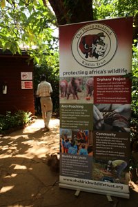 나이로비 코끼리 고아원 11