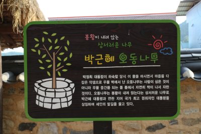 문경 청운각 - 박근혜 오동나무 03