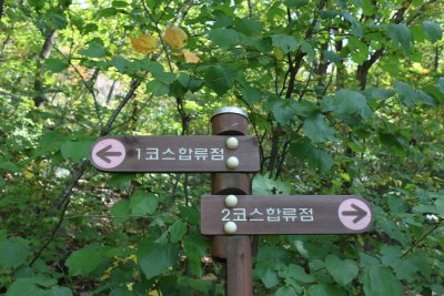 포천 운악산 - 무지치폭포 상단 17