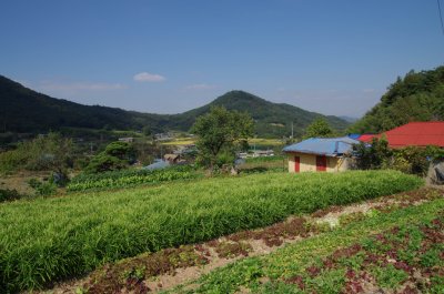 홍성 오서산 - 담산리 상담마을 13