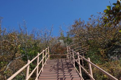 홍성 오서산 - 1,600 계단 02