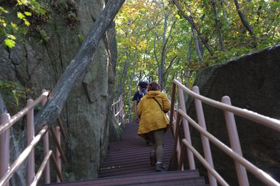 홍성 오서산 - 1,600 계단 03
