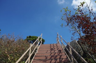 홍성 오서산 - 1,600 계단 05