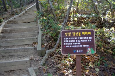 홍성 오서산 - 1,600 계단 09