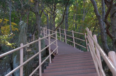 홍성 오서산 - 1,600 계단 11