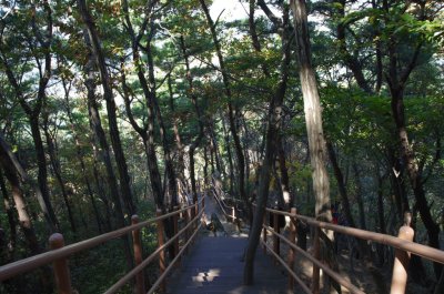 홍성 오서산 - 1,600 계단 12