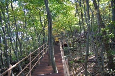 홍성 오서산 - 1,600 계단 13