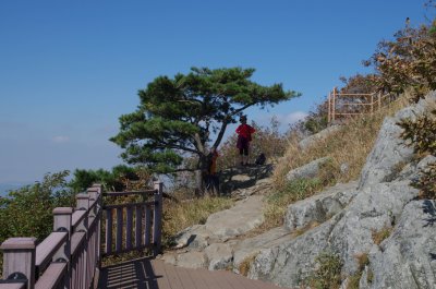 홍성 오서산 - 1,600 계단 16