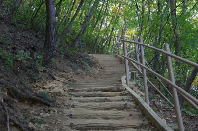 홍성 오서산 - 1,600 계단 17