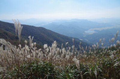 홍성 오서산 - 전망대 가는 길 12