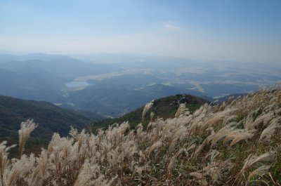 홍성 오서산 - 전망대 가는 길 14