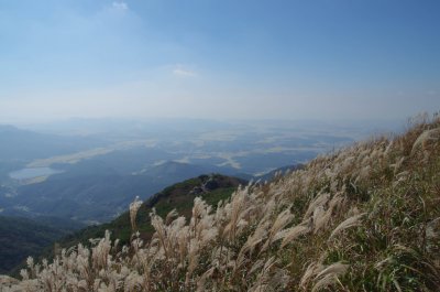 홍성 오서산 - 전망대 가는 길 16