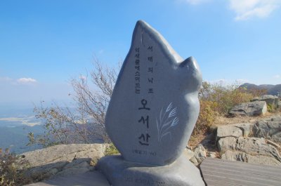 홍성 오서산 - 전망대 주변 풍경 01