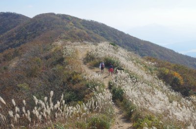 홍성 오서산 - 전망대 주변 풍경 04
