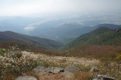 홍성 오서산 - 전망대 주변 풍경 08