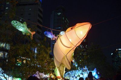 2014 서울빛초롱축제 07