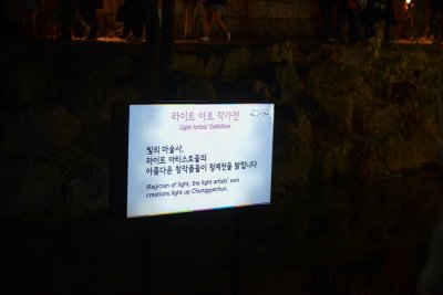 2014 서울빛초롱축제 16