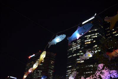 2014 서울빛초롱축제 13