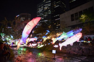 2014 서울빛초롱축제 15