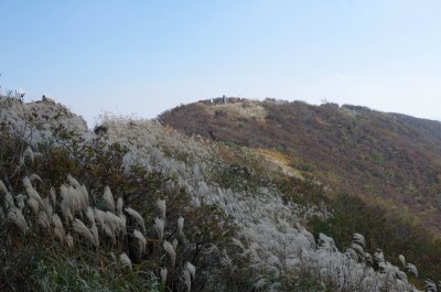 홍성 오서산 - 오서산 정상 주변의 풍경 06