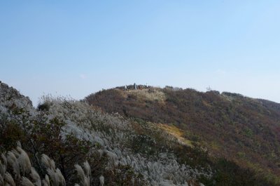 홍성 오서산 - 오서산 정상 주변의 풍경 10