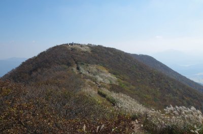 홍성 오서산 - 오서산 정상 주변의 풍경 11