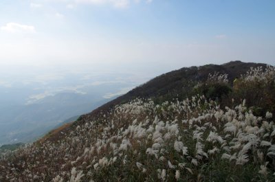 홍성 오서산 - 오서산 정상 주변의 풍경 12