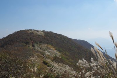 홍성 오서산 - 오서산 정상 주변의 풍경 13