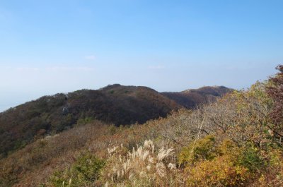 홍성 오서산 - 오서산 정상 주변의 풍경 17
