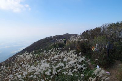 홍성 오서산 - 오서산 정상 주변의 풍경 18