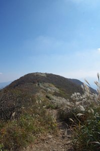홍성 오서산 - 오서산 정상 주변의 풍경 20