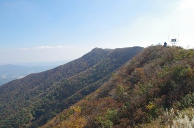 홍성 오서산 - 오서산전망대 주변의 억새 16