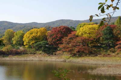 전통정원 희원 가을 나들이 - 수변공원 10