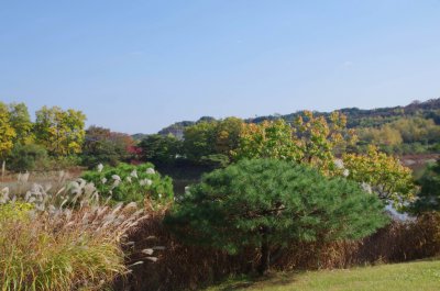 전통정원 희원 가을 나들이 - 수변공원 15