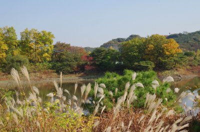 전통정원 희원 가을 나들이 - 수변공원 16